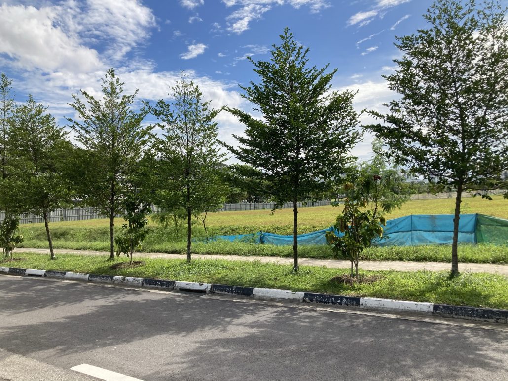 Belgravia Ace Freehold Landed Property in Singapore