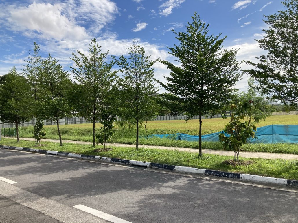 Landed Properties at Ang Mo Kio Near to Amenities